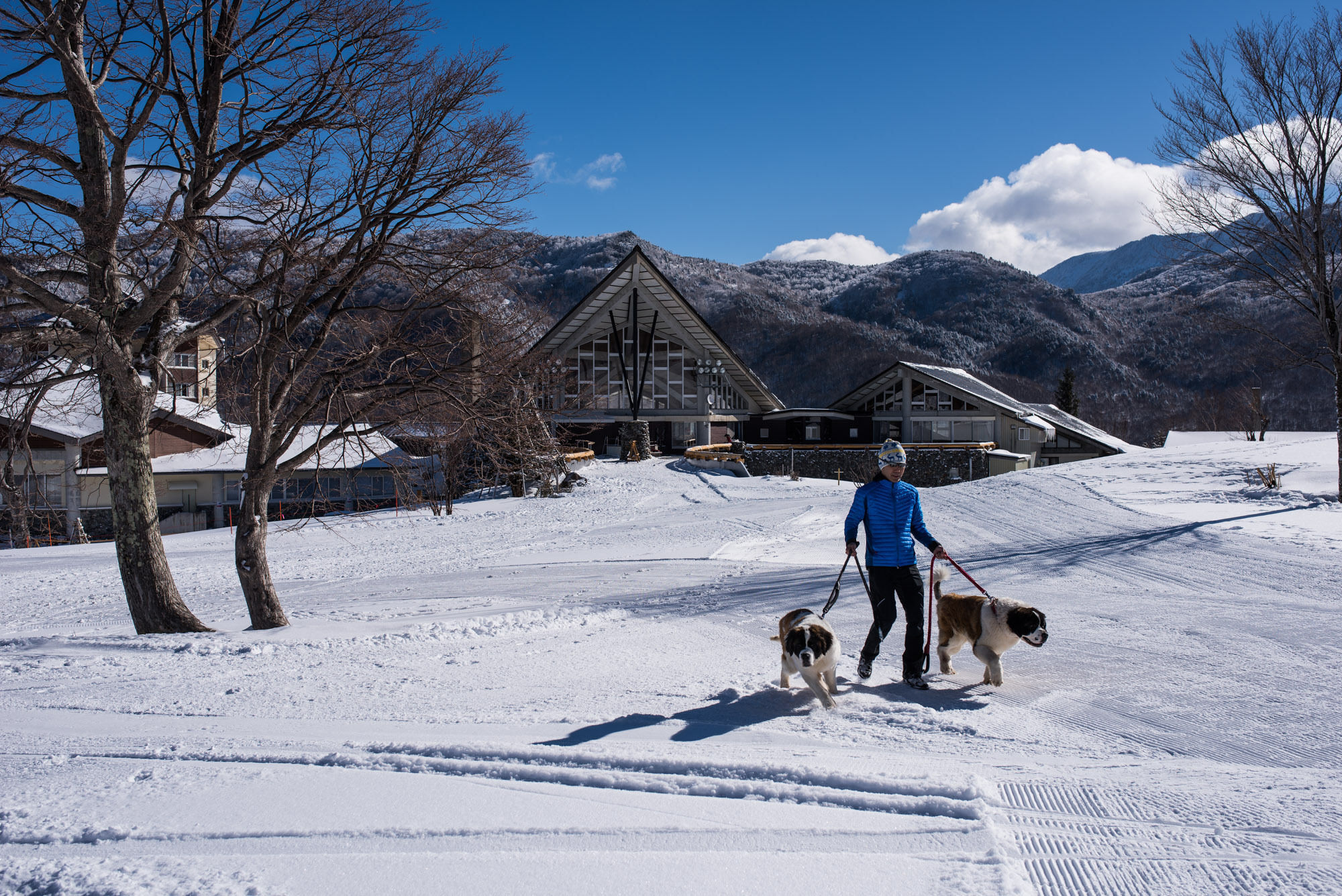 Okushiga Kogen Hotel Yamanouchi  Extérieur photo